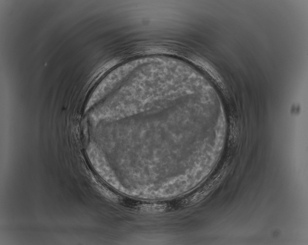 X0000097000793200803071116