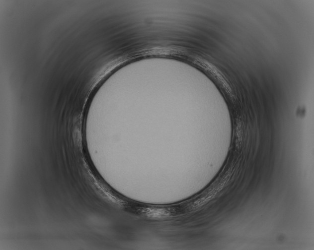 X0000097000794200803071116