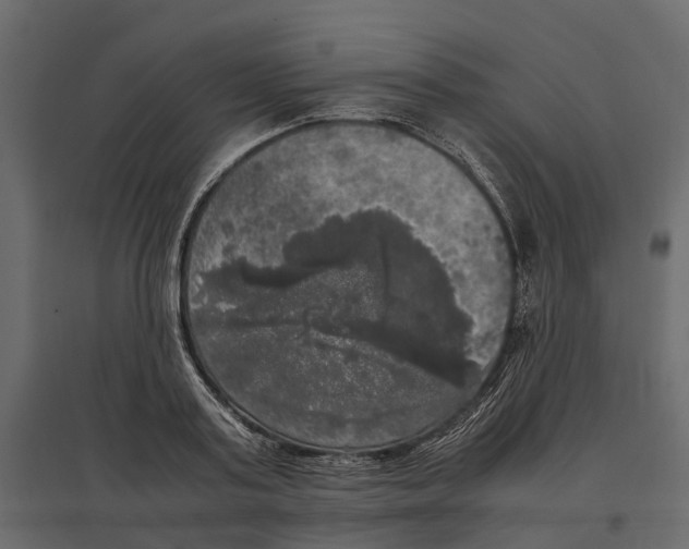 X0000097000795200803071116