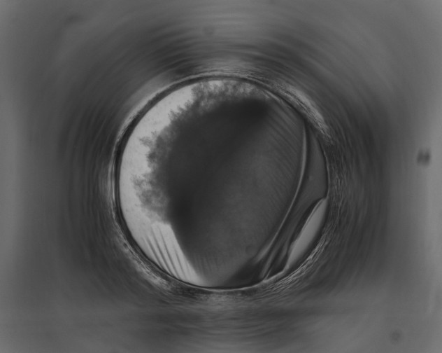 X0000097000796200803071116