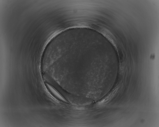 X0000097000797200803071116