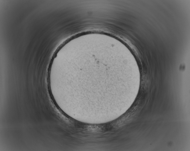 X0000097000799200803071116