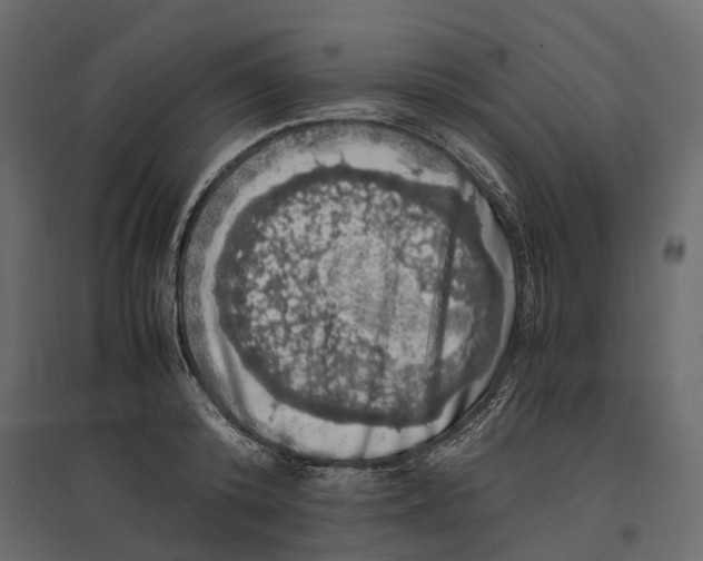 X0000097000800200803071116