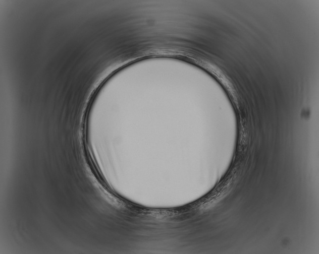 X0000097000803200803071116