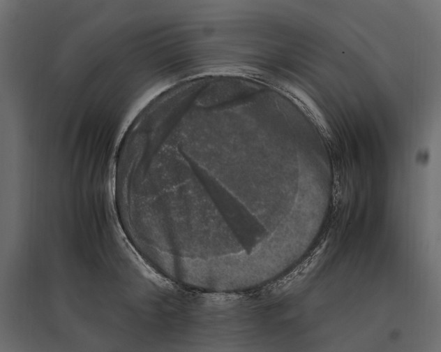 X0000097000804200803071116