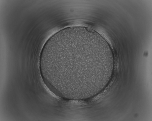 X0000097000805200803071116