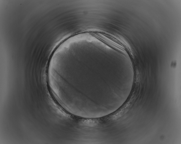 X0000097000806200803071116