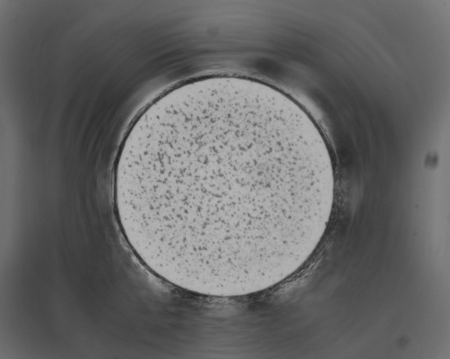 X0000097000807200803071116