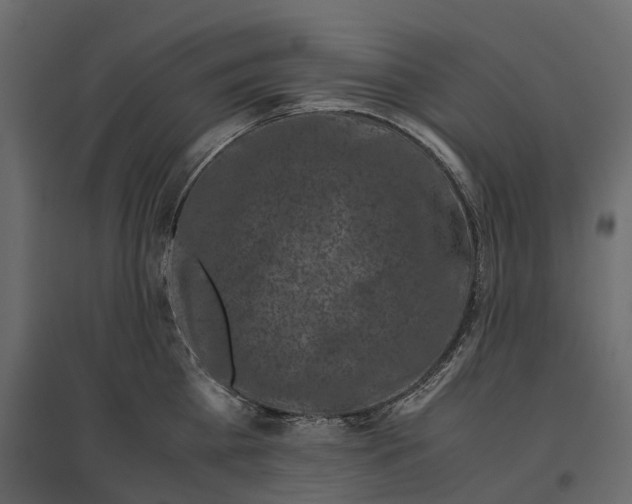 X0000097000809200803071116