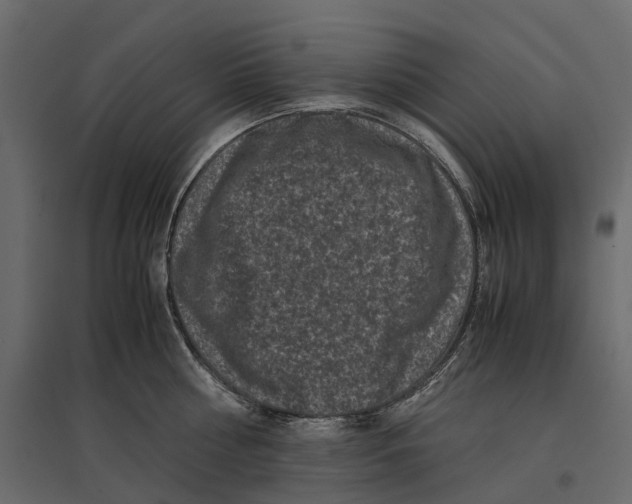 X0000097000810200803071116