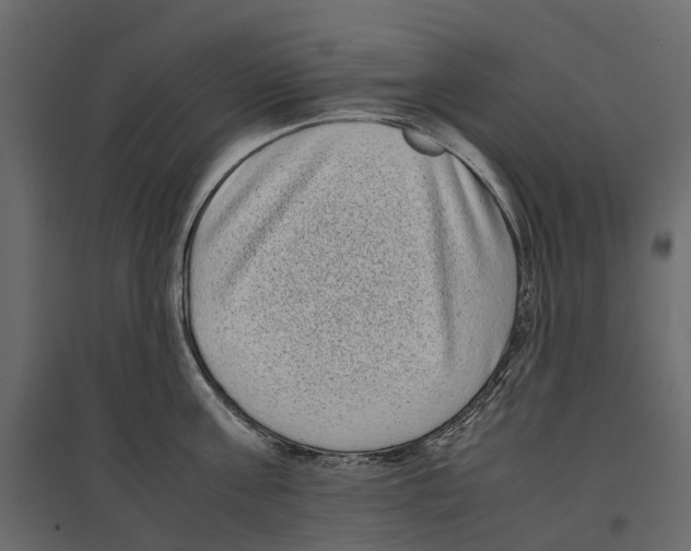 X0000097000811200803071116