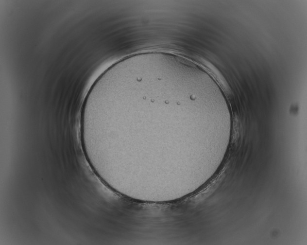 X0000097000812200803071116