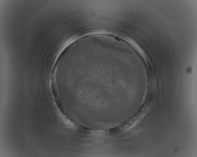 X0000097000813200803071116