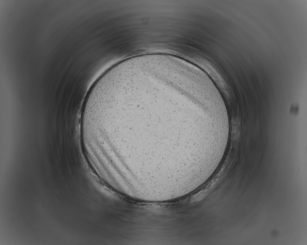 X0000097000814200803071116