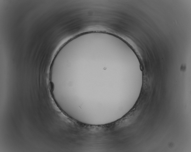 X0000097000815200803071116