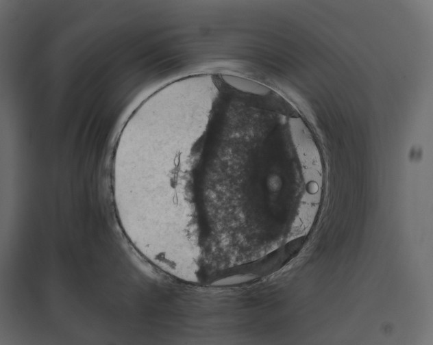 X0000097000816200803071116