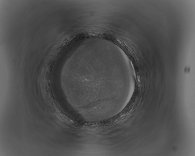 X0000097000817200803071115