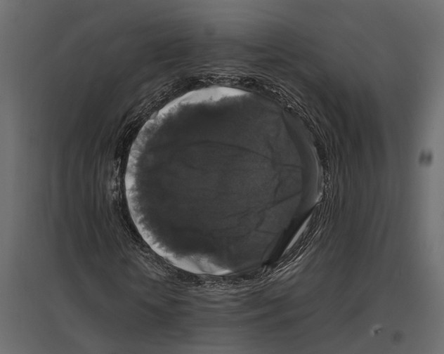 X0000097000818200803071115