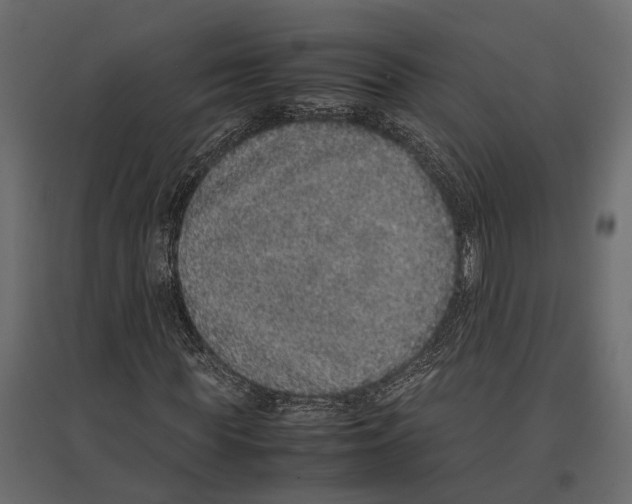 X0000097000819200803071115