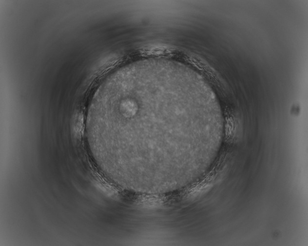 X0000097000820200803071115