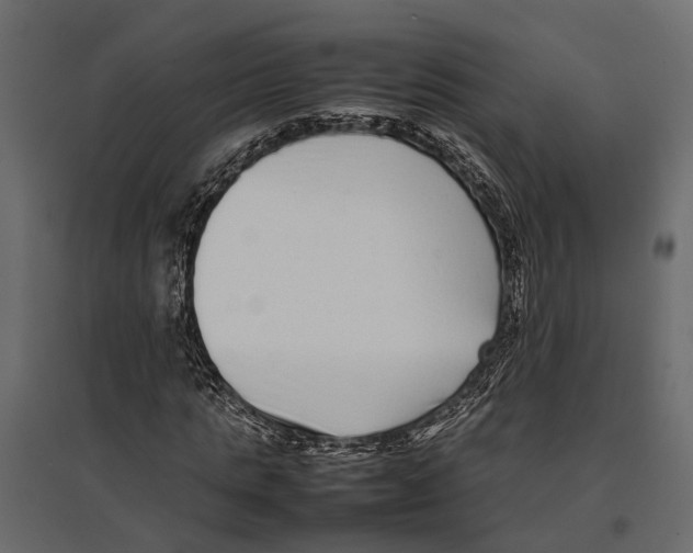 X0000097000821200803071115