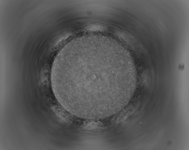 X0000097000824200803071115