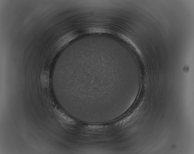 X0000097000825200803071115