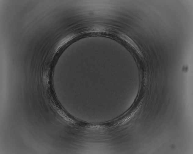 X0000097000826200803071115