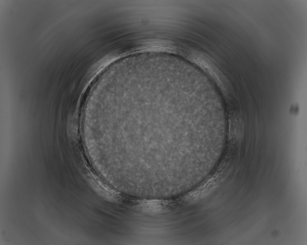 X0000097000828200803071115