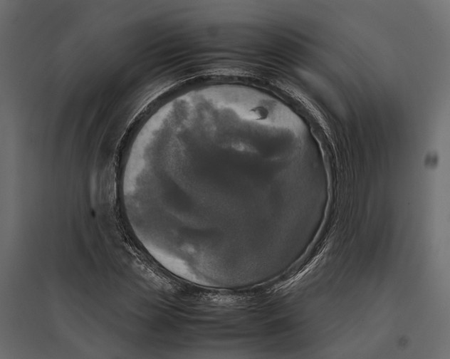 X0000097000829200803071115