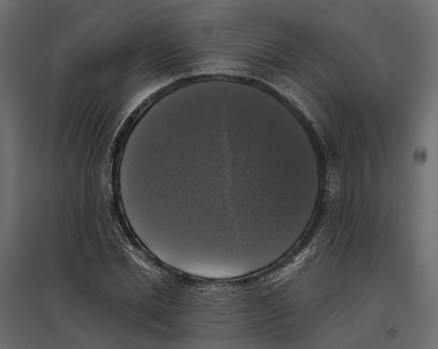 X0000097000830200803071115