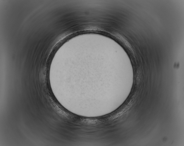 X0000097000831200803071115