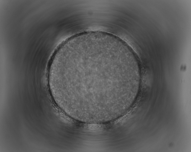 X0000097000832200803071115