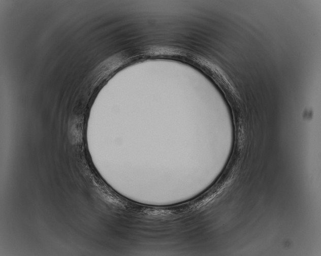 X0000097000833200803071115