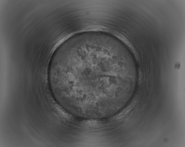 X0000097000834200803071115