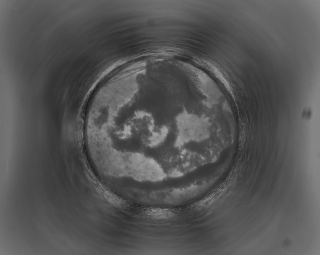 X0000097000835200803071115