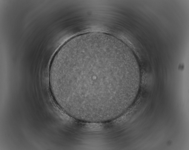 X0000097000836200803071115