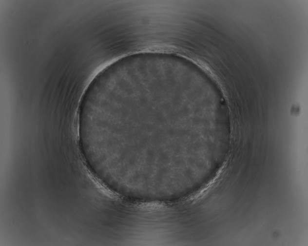 X0000097000838200803071115