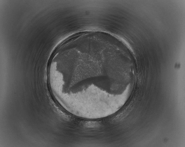 X0000097000839200803071116