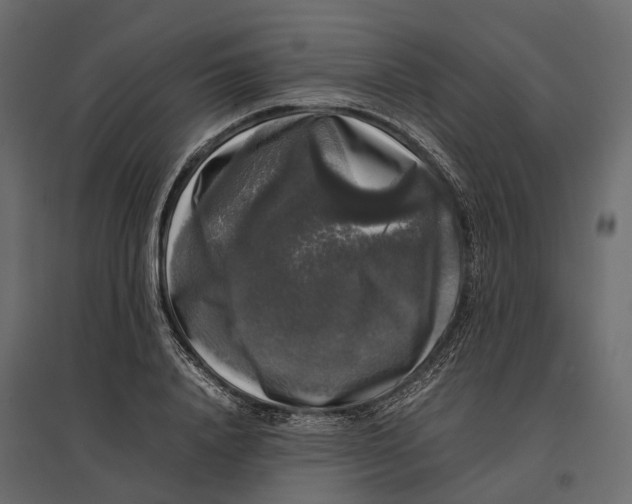 X0000097000840200803071116