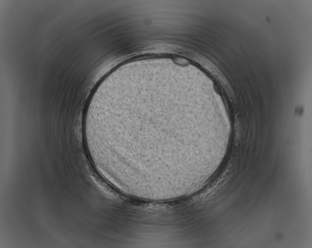 X0000097000842200803071116