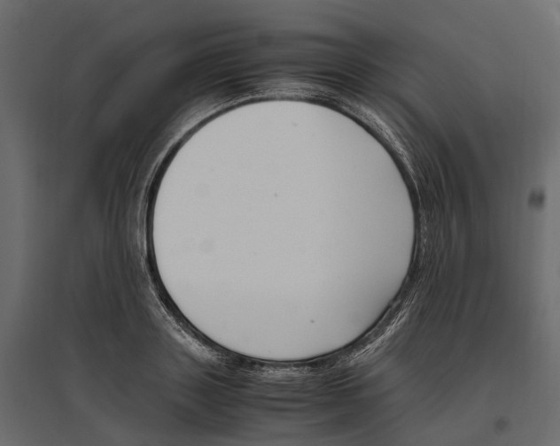 X0000097000843200803071116