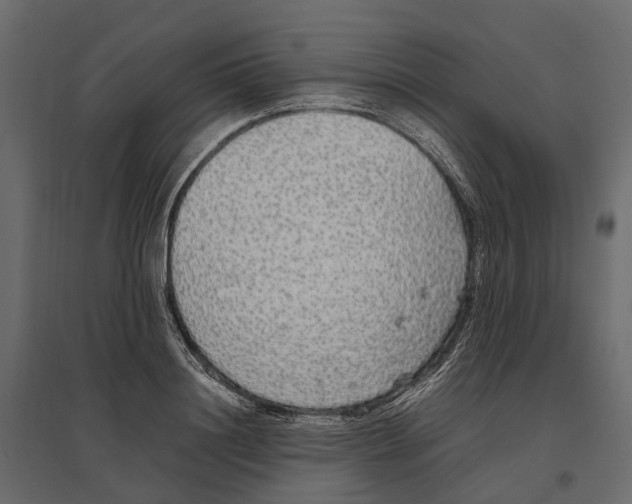 X0000097000844200803071116