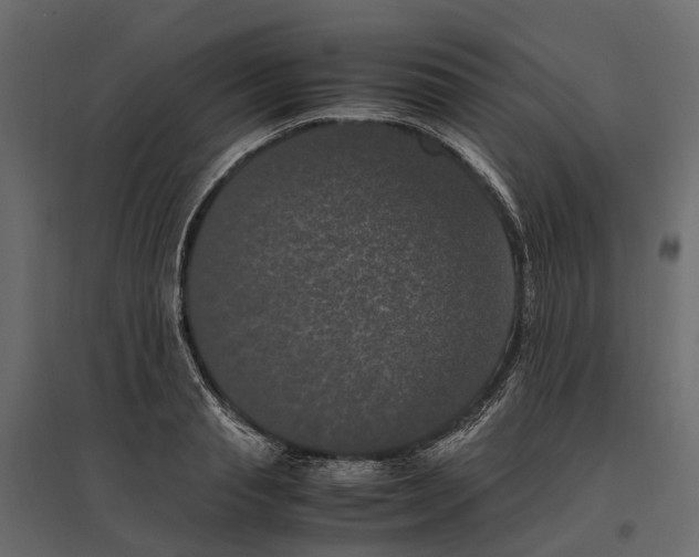 X0000097000845200803071116