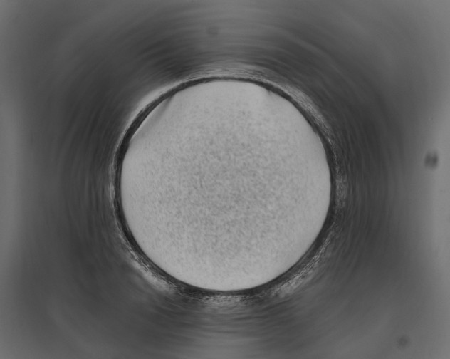 X0000097000846200803071116