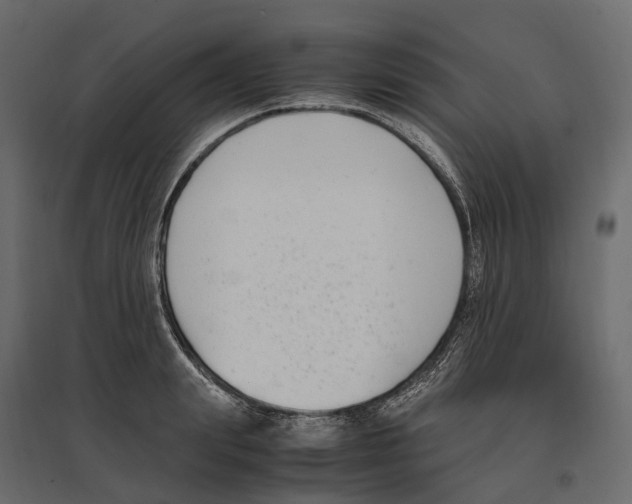 X0000097000847200803071116