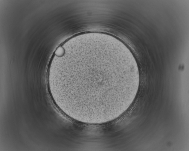 X0000097000848200803071116