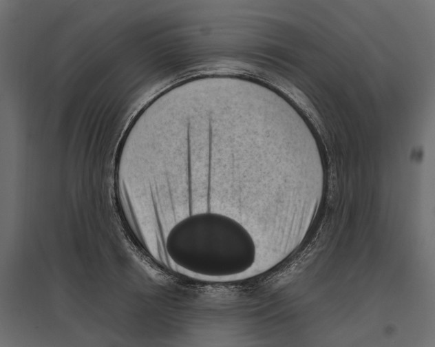 X0000097000850200803071116