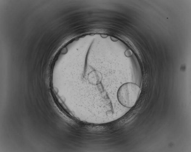 X0000097000851200803071116