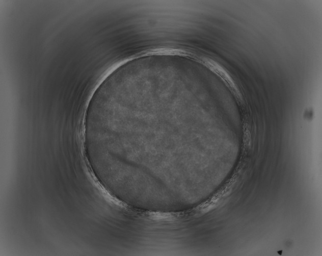 X0000097000852200803071116